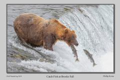 A3-L-Catch-Fish-at-Brooks-Fall