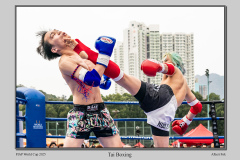 C5-Tai-Boxing