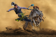 Kai-Sun Law_Cowboy Hanging On 2