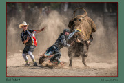 A1-Bull-Rider-4