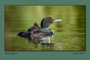 B2-Loon-Family-4