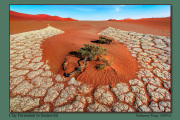 B1-Clay-Formation-in-Sossusvlei