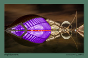 B2-Purple-Symmetry