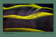 B3-Thw-Naked-Grassland