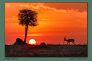 B5-African-Sunset