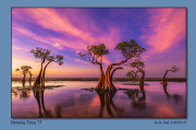 A3-Dancing-Trees-75