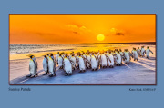 A4-Sunrise-Parade