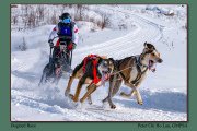 2-Dogsled-Rac