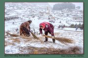 5-Snow-Shovelling-With-Brushes
