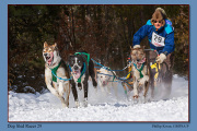 B5-Dog-Sled-Racer-29