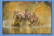 B4-Mud-Race-12-L