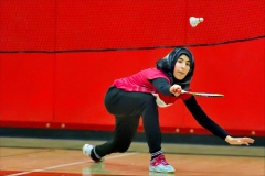 8-Badminton