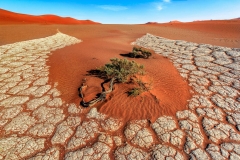 Clay-formation-in-Sossusvlei