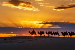 Sunrise-in-the-Desert