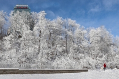 2018-A-Nancy-Lam-11-Frost-Covered