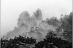 Misty-Huangshan-