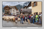 PT-R3A-Festival-of-Alpine-Pastures