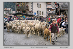 A1-The-Alp-Festival
