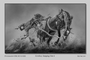PIDM-R3B-Cowboy-Jumping-Out-4