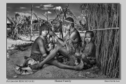 R1C-Hamar-Family