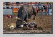 R1A-Cowflighter-Got-Hit-3