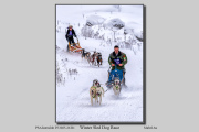 R1E-Winter-Sled-Dog-Race