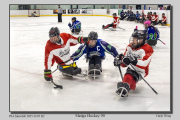 R2C-Sledge-Hockey-90