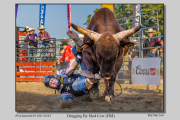 R3C-Dragging-By-Mad-Cow