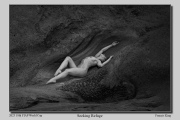 A2-Seeking-Refuge