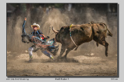 A4-Bull-Rider-3-adj