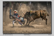 A4-Bull-Riding-3